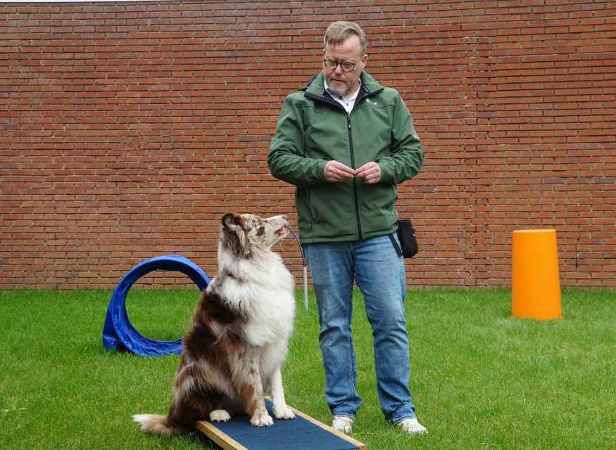 Dog and cat behavior tips, seasonal safety, and senior pet care